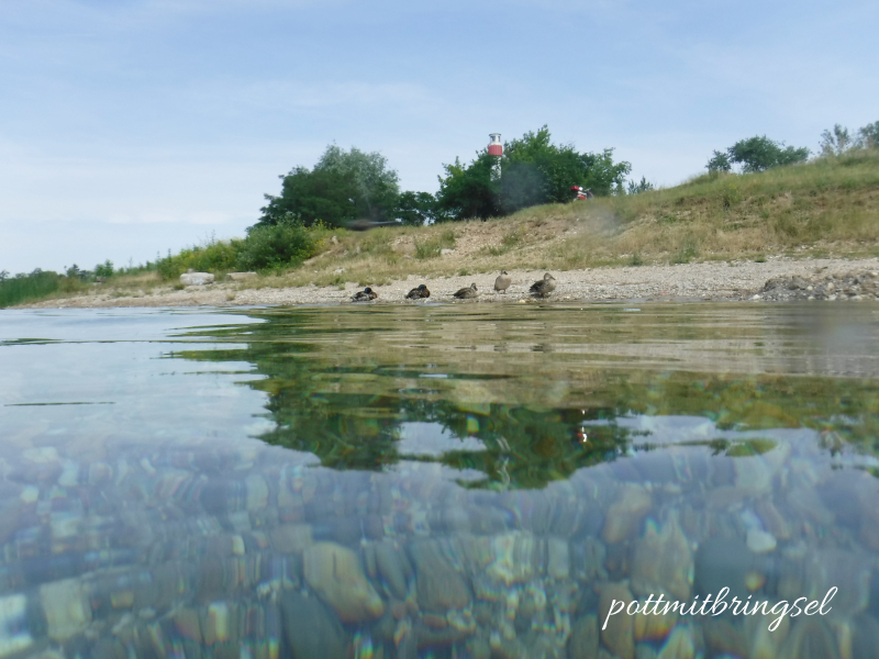 Kameralinse zur Hälfte unter Wasser. Unterwasserkamera