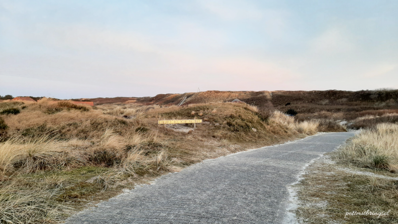 Dünenlandschaft Wangerooge