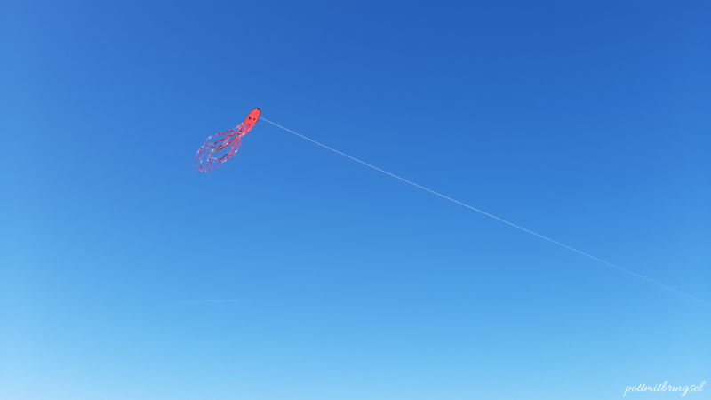 Drachen steigen auf Wangerooge